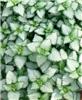 lamium maculatum b